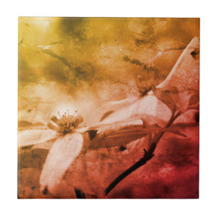 Vintagen Dogwood Flower Black and White Kakelplatta