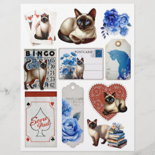 Vintagen Ephemera, vacker siamesisk katt