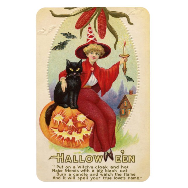 Vintagen för svart och svart katt magnet (Vertikal)