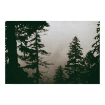 Vintagen Forest Gräs Träd Nature Tallar Woodland