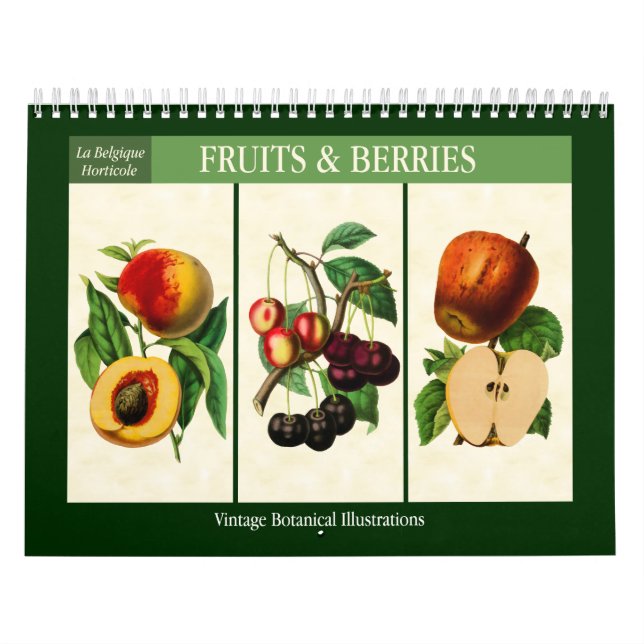 Vintagen Fruit and Berries Botanical 2026 Kalender (Omslag)