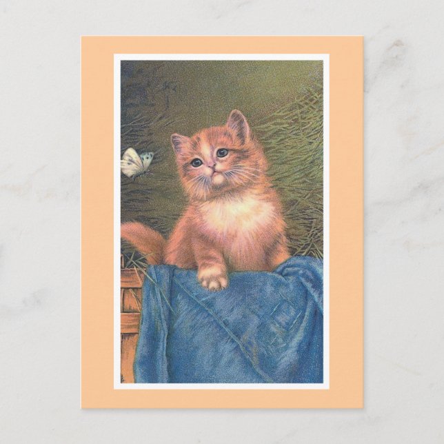 vintagen "Ginger Kitten and Butterfly" Vykort (Framsida)