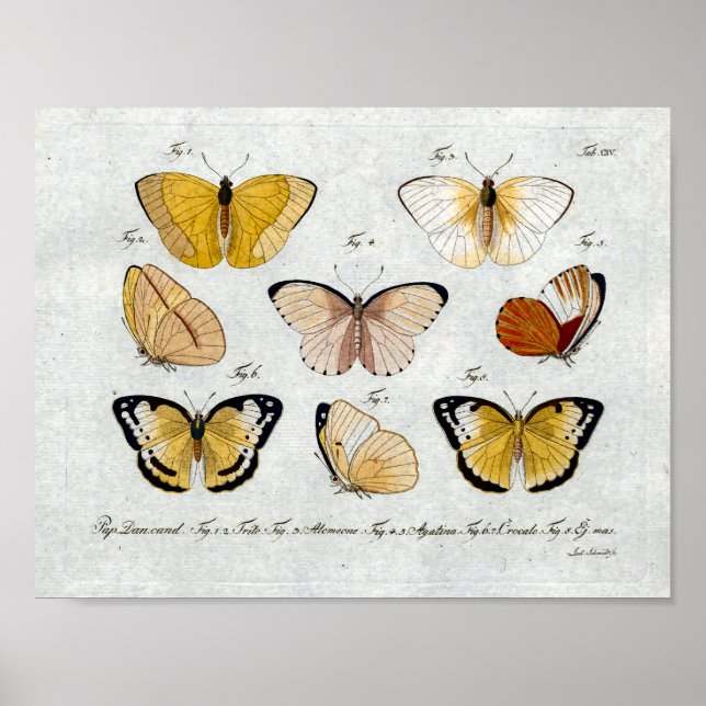 Vintagen gult Butterflies Skriv ut hämtning Poster (Framsidan)