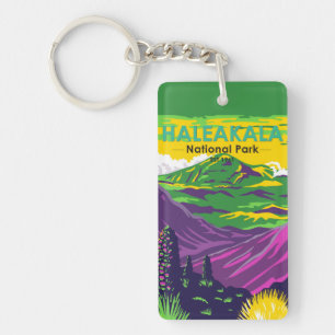 Vintagen Haleakala nationalparken Hawaii