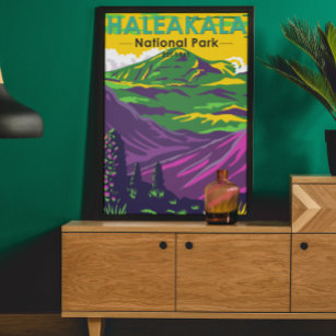 Vintagen Haleakala nationalparken Hawaii Poster
