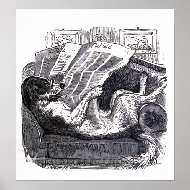 vintagen "Hund Reading Newspaper" Poster (Framsidan)