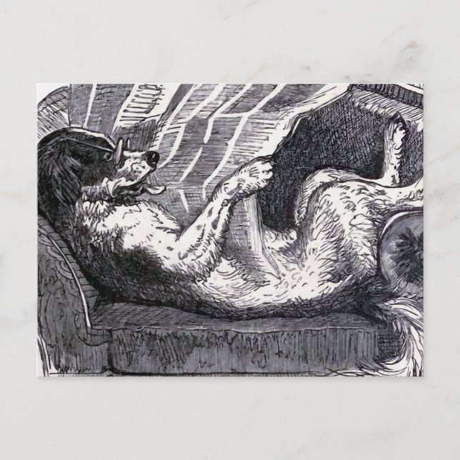 vintagen "Hund Reading Newspaper" Vykort (Framsida)