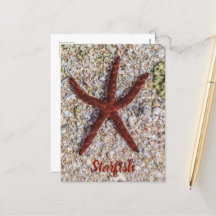 Vintagen i Starfish Ocean Beach Retro Souvenir