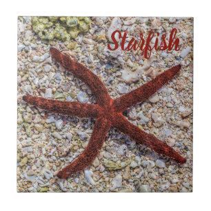 Vintagen i Starfish Ocean Beach Retro Souvenir Kakelplatta