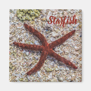 Vintagen i Starfish Ocean Beach Retro Souvenir Magnet