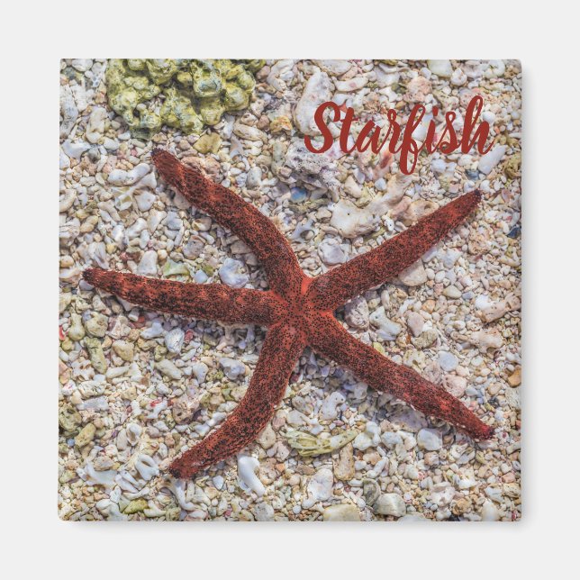 Vintagen i Starfish Ocean Beach Retro Souvenir Magnet (Framsidan)