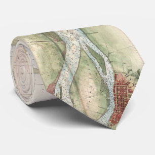 Vintagen Karta i floden Savannah (1855) Slips
