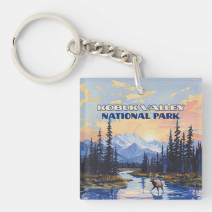 Vintagen Kobuk Valley National Park Alaska Västind