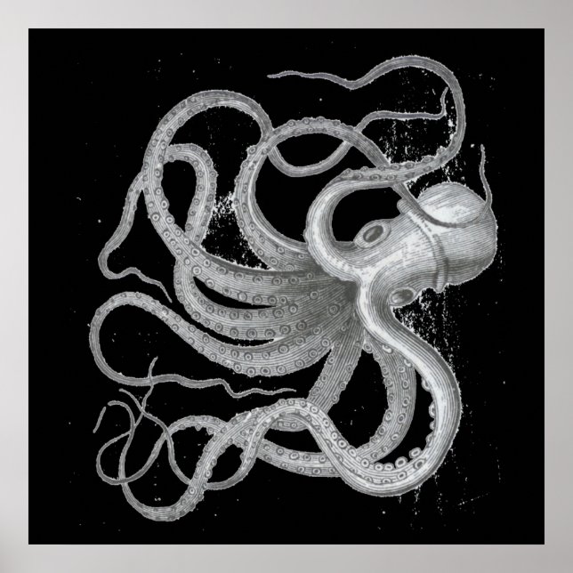 Vintagen Kraken Teckning Poster (Framsidan)