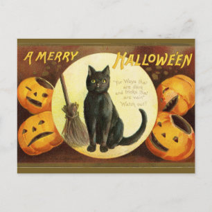 Vintagen Merry Hallow'en Black Cat Pumpkins Vykort