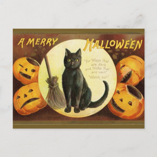 Vintagen Merry Hallow'en Black Cat Pumpkins Vykort (Framsida)