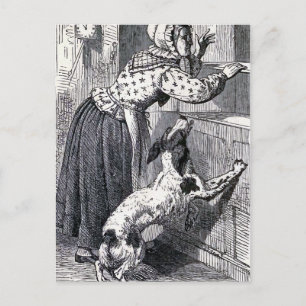 vintagen "Old Mor Hubbard" Illustration Vykort