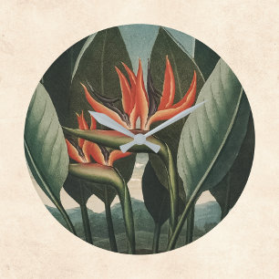 Vintagen Paradise Temple i Flora Botanical Stor Klocka