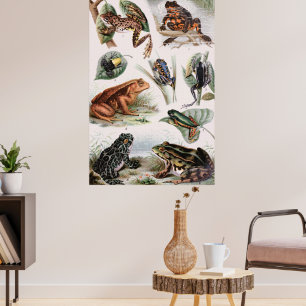 Vintagen Poster grodor