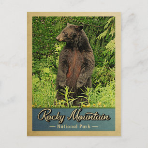 Vintagen Rocky Mountain National Park Bear Vykort