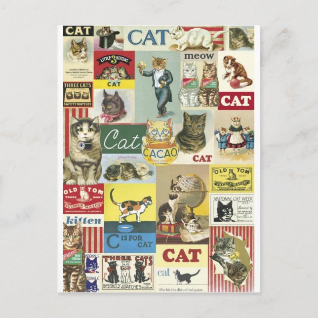 Vintagen Samla chattor Vykort (Framsida)