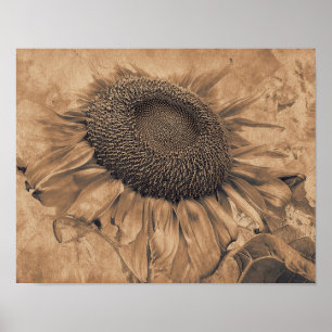 Vintagen Sepia Brown Blommigt Art Poster