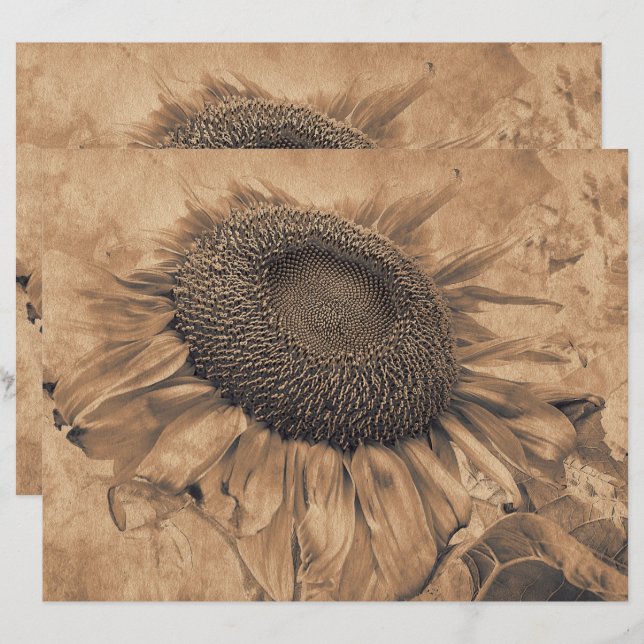 Vintagen Sepia Brown Decoupage Art (Fram/baksida)