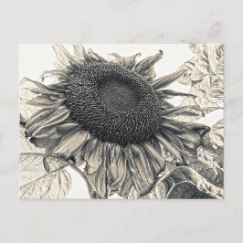 Vintagen Sepia Decoupage Art Vykort