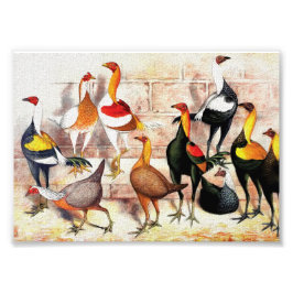 vintagen "Spelkantams" Illustration Fototryck