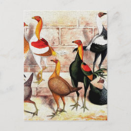 vintagen "Spelkantams" Illustration Vykort