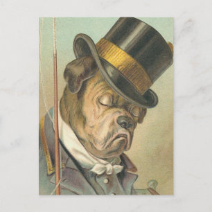 vintagen "Spipande Hund" Vykort