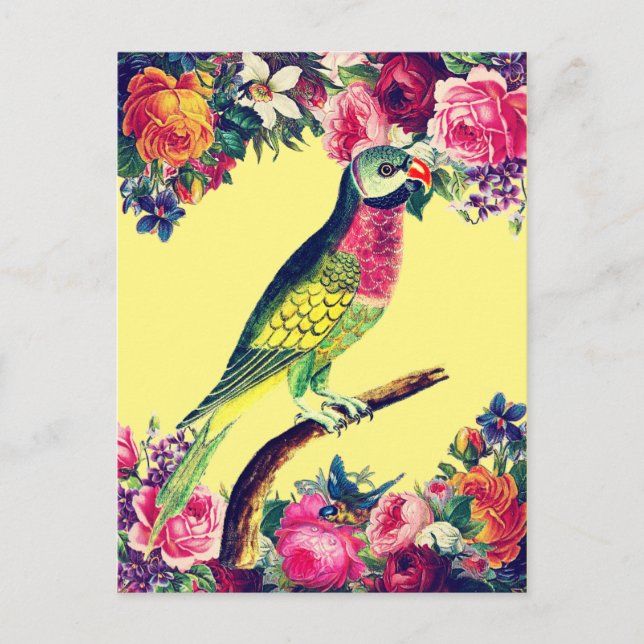 Vintagen Tropical Parrot Design Vykort (Framsida)