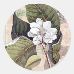 Vintagen White Magnolia Blommar Botanical Runt Klistermärke