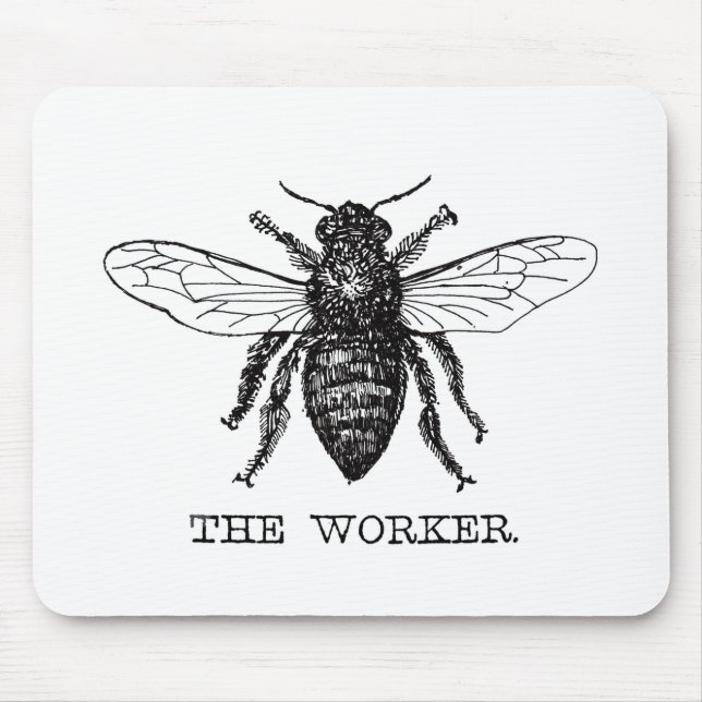 Vintagen Worker Bee Black White Bumblebee Musmatta (Framsidan)