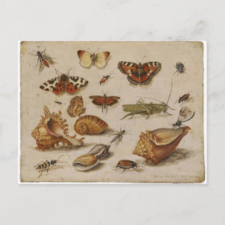 Vintagenaturvykort Vykort