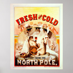 Vintagenordpolenöl, nytt och kallt poster