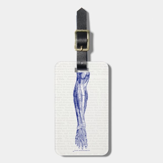 Vintagens anatomi i benblått bagagebricka (Vertikal Framsida)