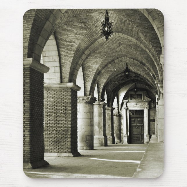 Vintagens arkitektur musmatta (Framsidan)