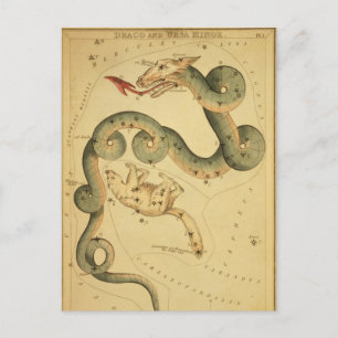 Vintagens astronomi skriver ut Draco & Ursa Minor Vykort