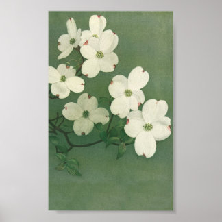Vintagens Blommar Poster