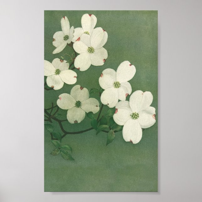 Vintagens Blommar Poster (Framsidan)