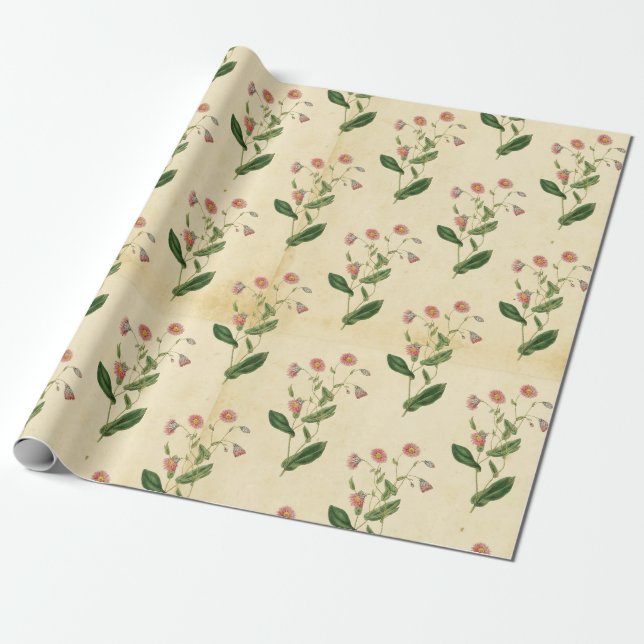 Vintagens Blommigt Presentpapper (Utrullad)