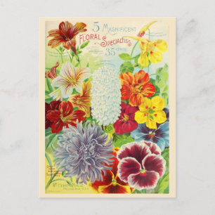 Vintagens blomningskatalog vykort