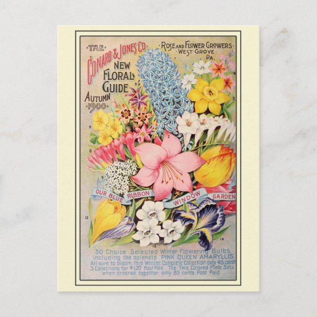 Vintagens  blomningskatalog vykort (Framsida)