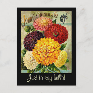 Vintagens blomsterförpackning - vykort