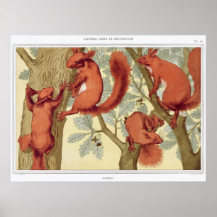 Vintagens ekorrebild poster