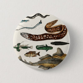 Vintagens fisksamlingar knapp