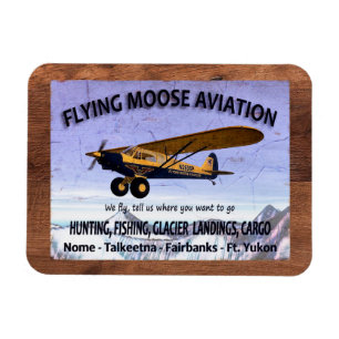 Vintagens flygande flygplanssignatur magnet