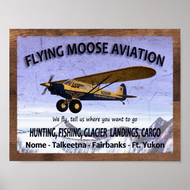 Vintagens flygande flygplanssignatur poster (Framsidan)