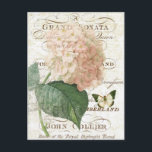 Vintagens Fransk Brevakstortet för vattentvätt Vykort<br><div class="desc">Vintagens Fransk Brevakstortet för vattentvätt</div>